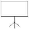 Projector Screen with Stand, 80 Inch 160° Wide Angle Indoor Outdoor Projection Screen, 16:9 4K HD Wrinkleless Portable Tripod Screens with Carry Bag