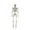 5ft White Poseable Skeleton Decoration, Halloween Outdoor Decor