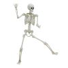 5ft White Poseable Skeleton Decoration, Halloween Outdoor Decor