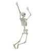 5ft White Poseable Skeleton Decoration, Halloween Outdoor Decor
